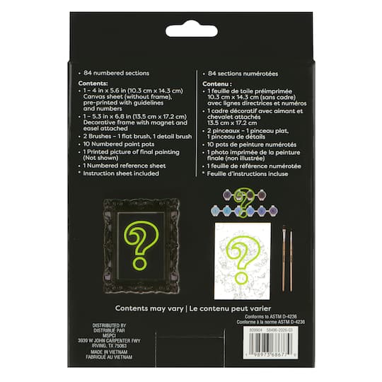 Mystery Dark Flower Paint-by-Number Framed Mini Kit by Artist's Loft®